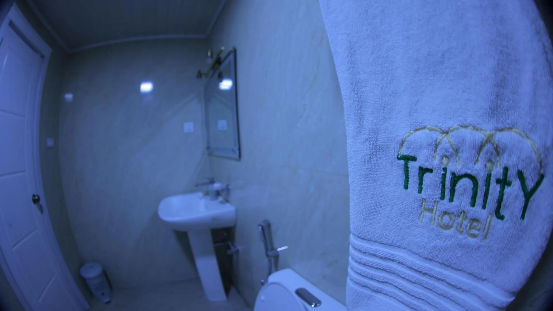 Trinity Hotel Addis Ababa 3*,