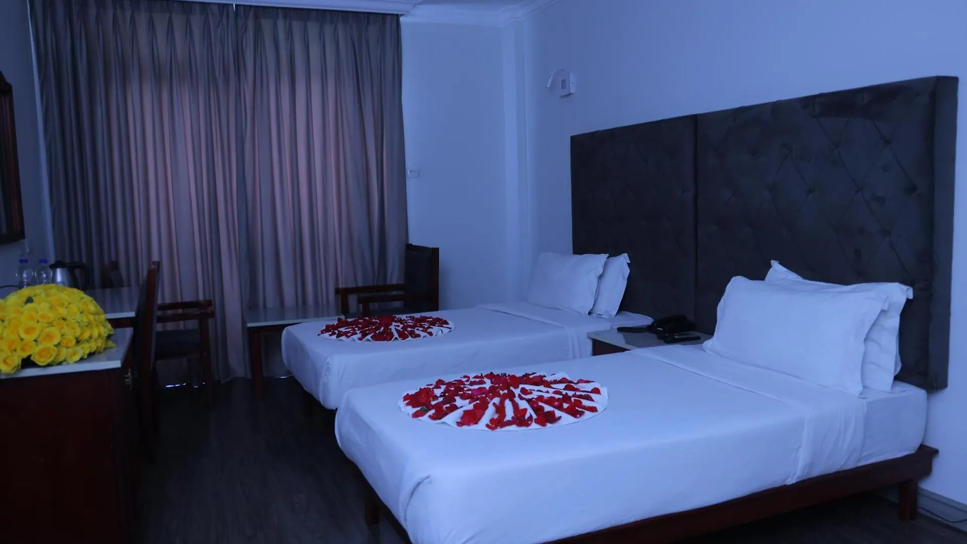 Trinity Hotel Addis Ababa 3*,  Ethiopia